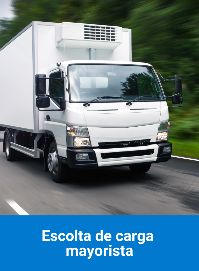 Escolta de carga mayorista